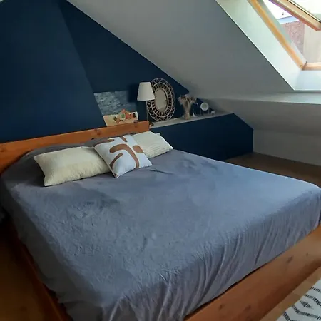 Maison Avec Jardin Arbore Tram Vieux Lille Gare Holiday home