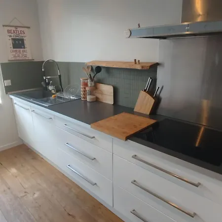 Maison Avec Jardin Arbore Tram Vieux Lille Gare *